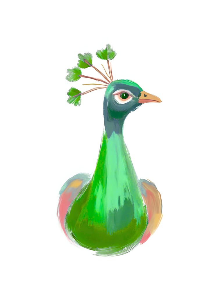 Peacock 24