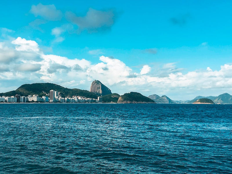 Rio Vibes   Blue Sea