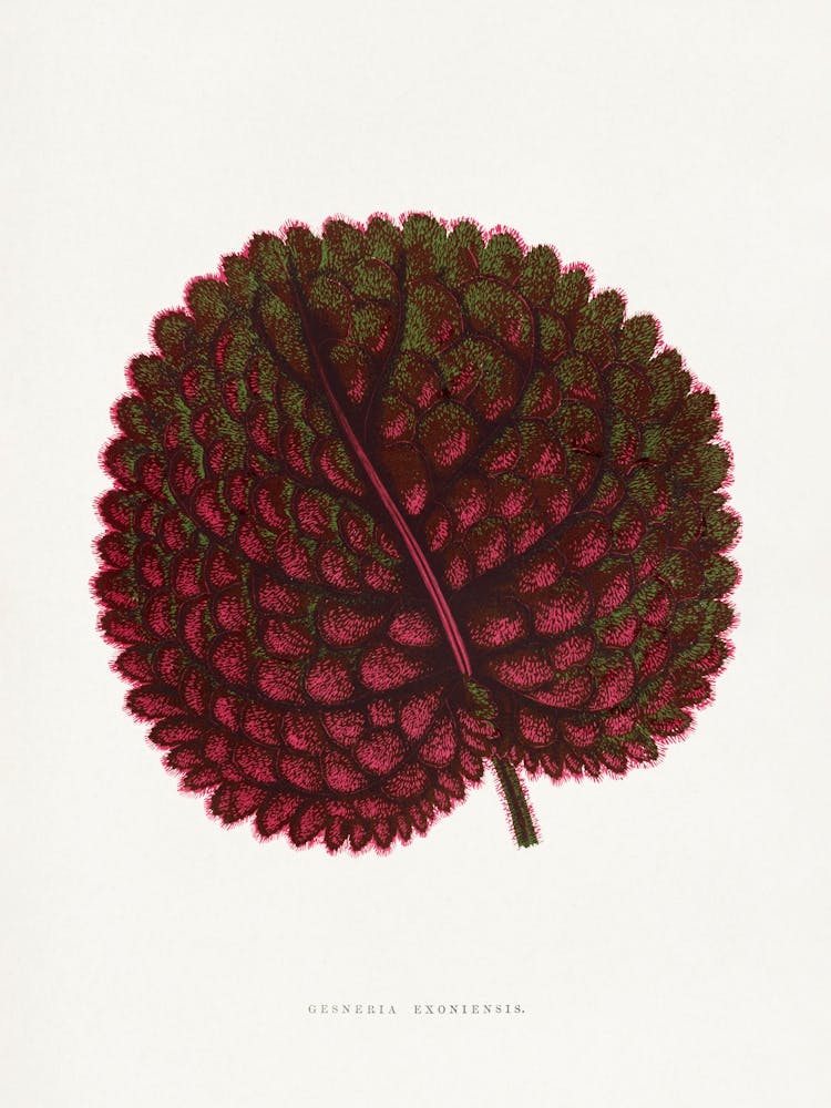 Vintage Botanical _2643246