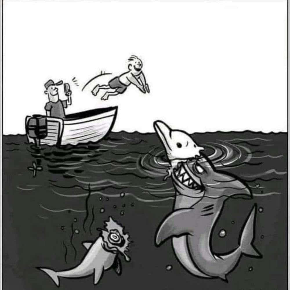 Sharks In A Boat