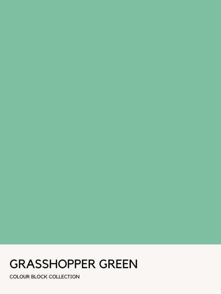Grasshopper Green Colour Block Poster