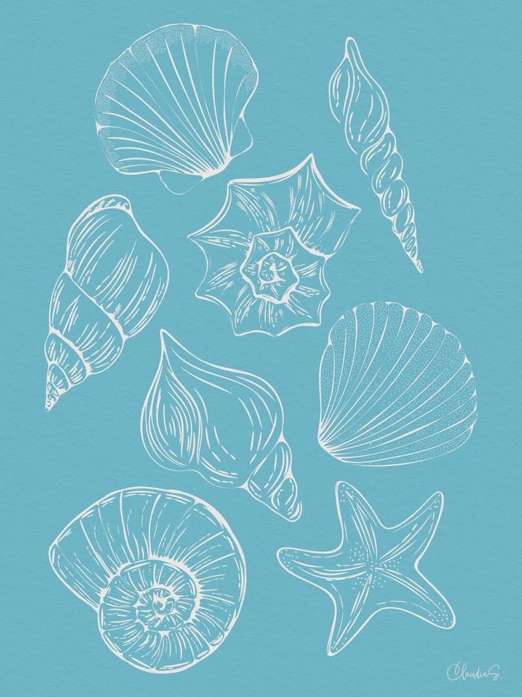 Sea Shells