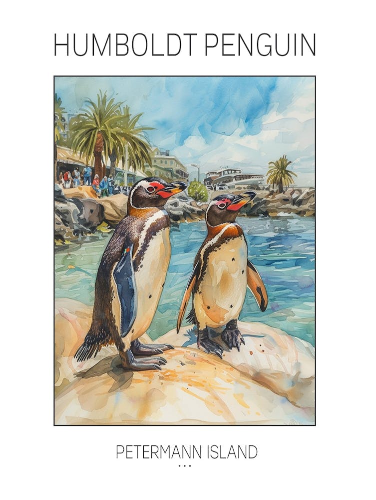 Humboldt Penguin Petermann Island Watercolour Painting 3 Poster