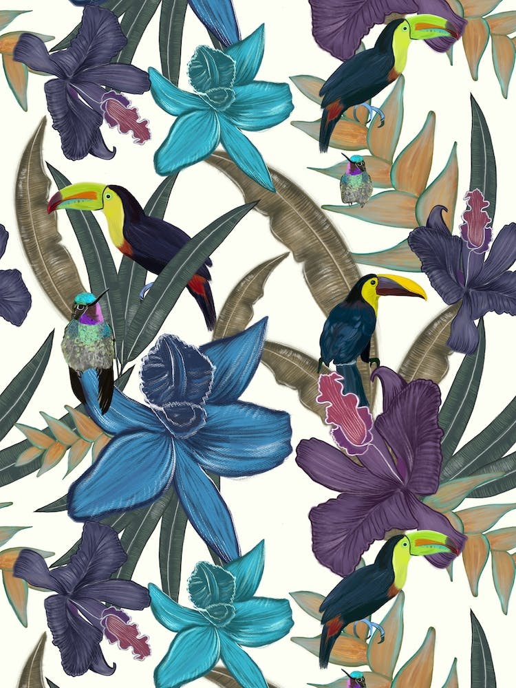 Toucan Bird Jungle