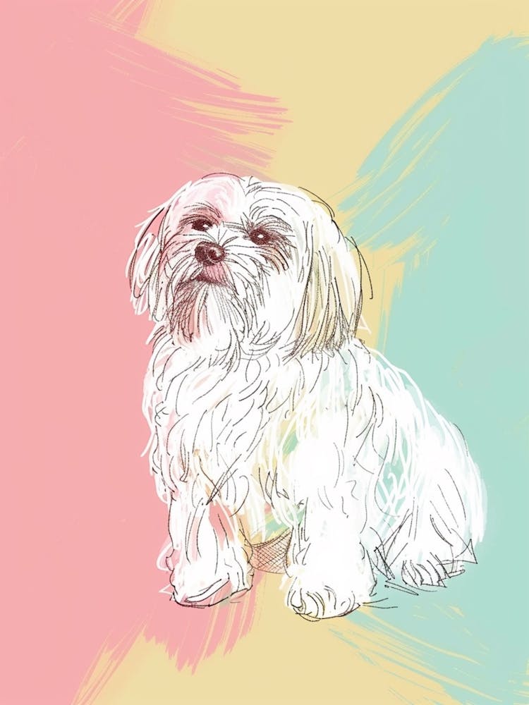 Havanese Dog Pastel Line Painting 2