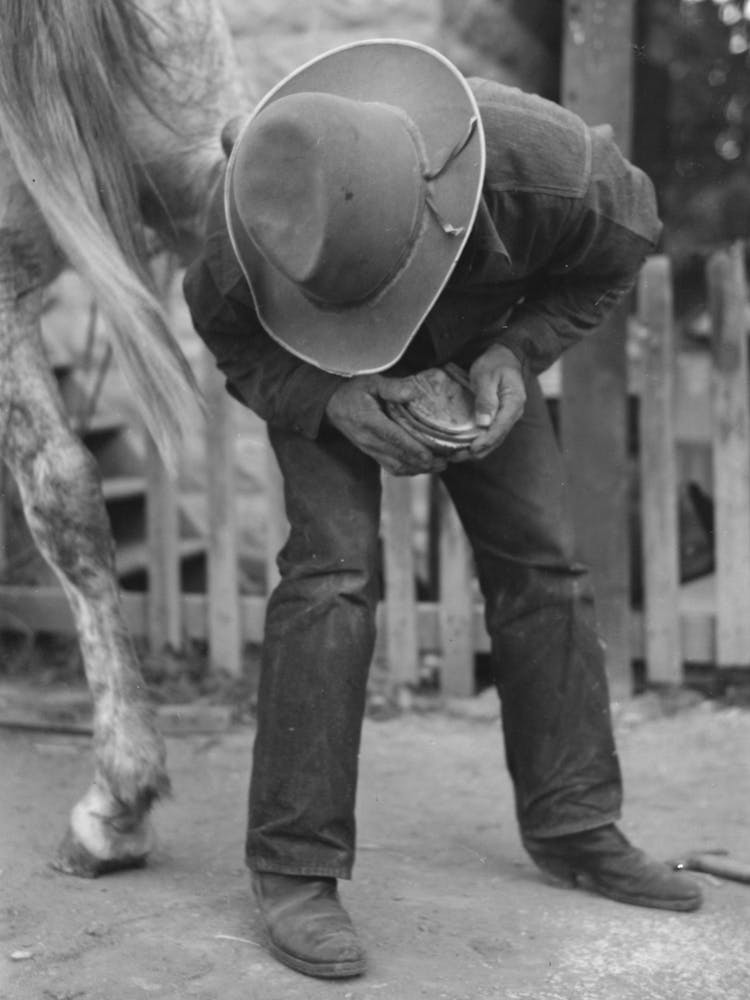 Untitled Photo, Possibly Related To Mormon Farmer Shoeing A Horse, Santa Clara, Utah By Russell Lee