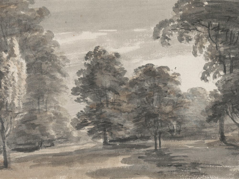 Landscape With Trees Sketching