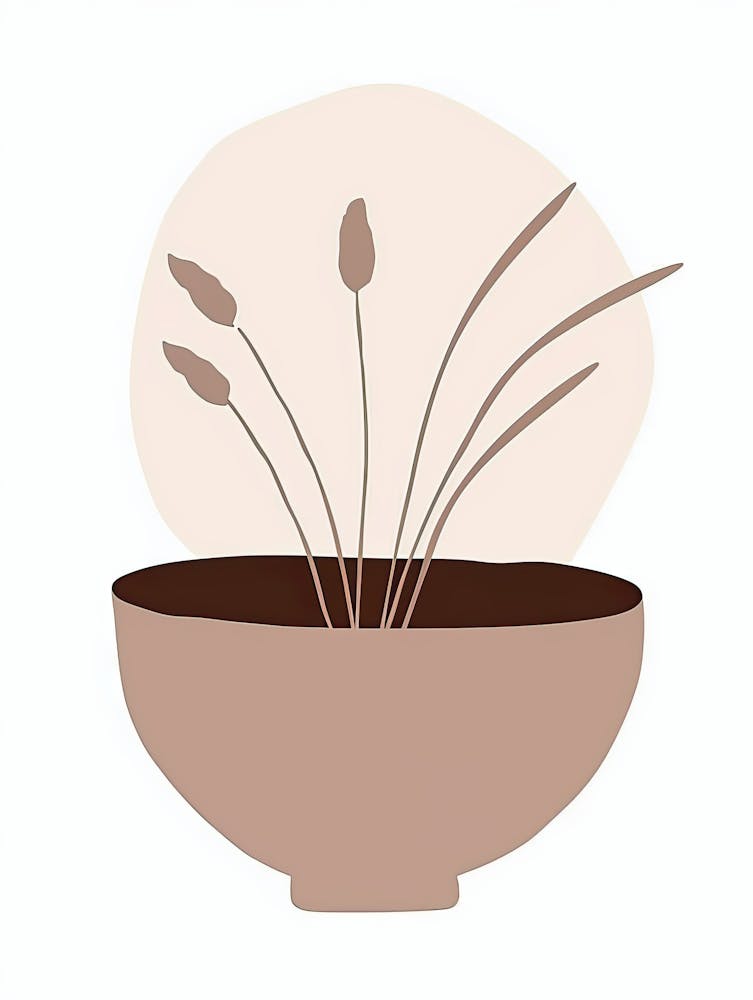 Ankara Espace Minimaliste Bauhaus