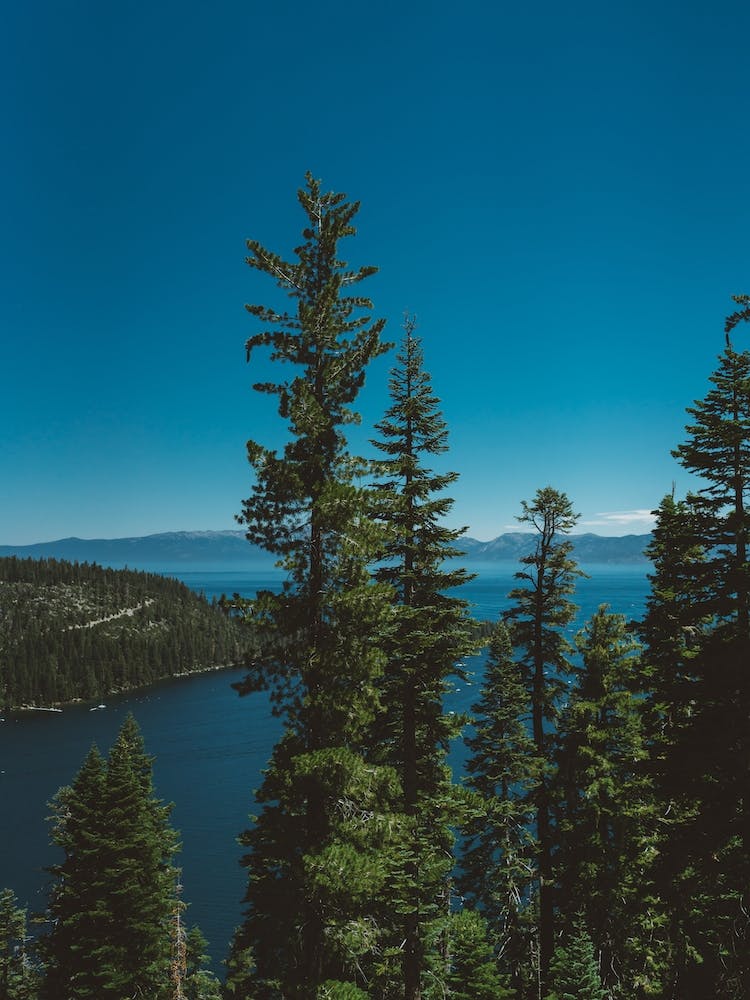 Lake Tahoe II