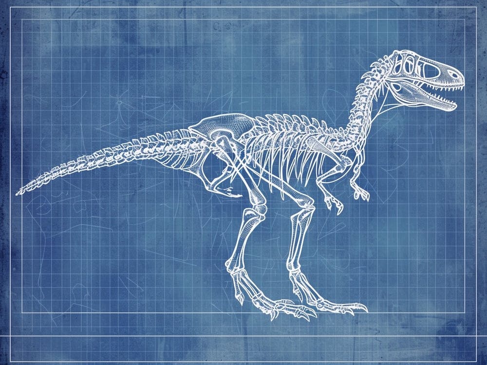 Velociraptor Skeleton Hand Drawn Blueprint 3