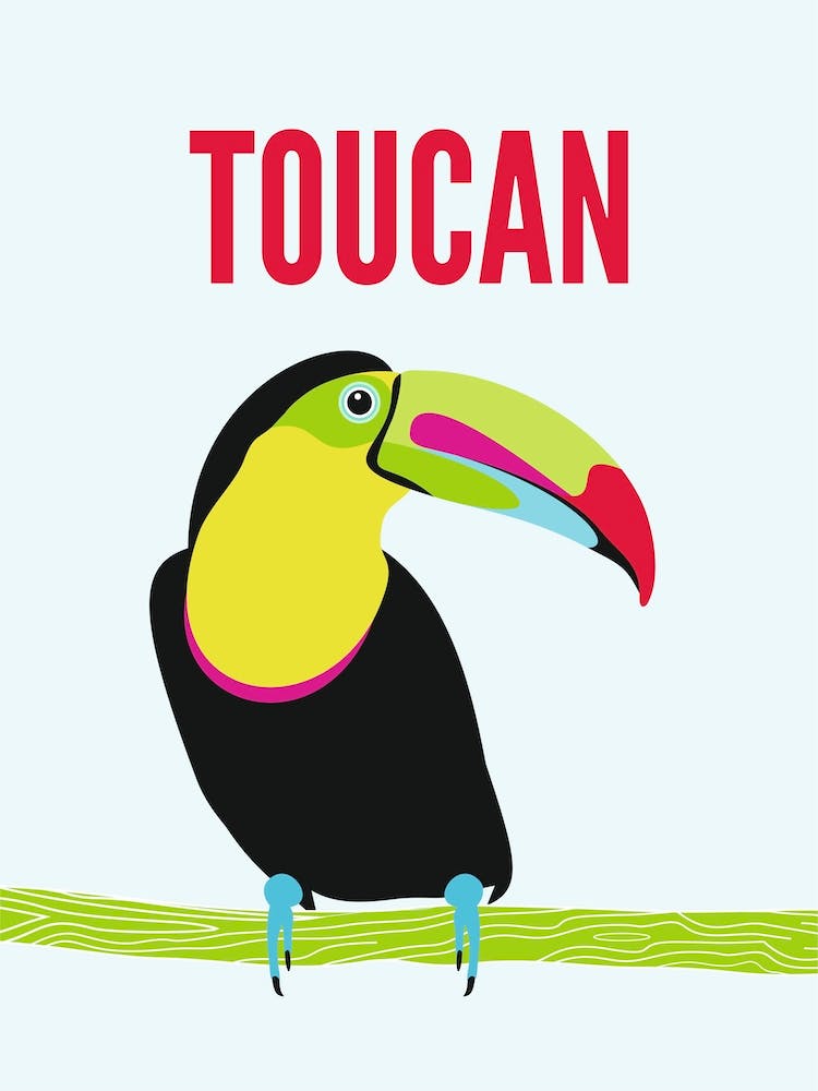 Toucan
