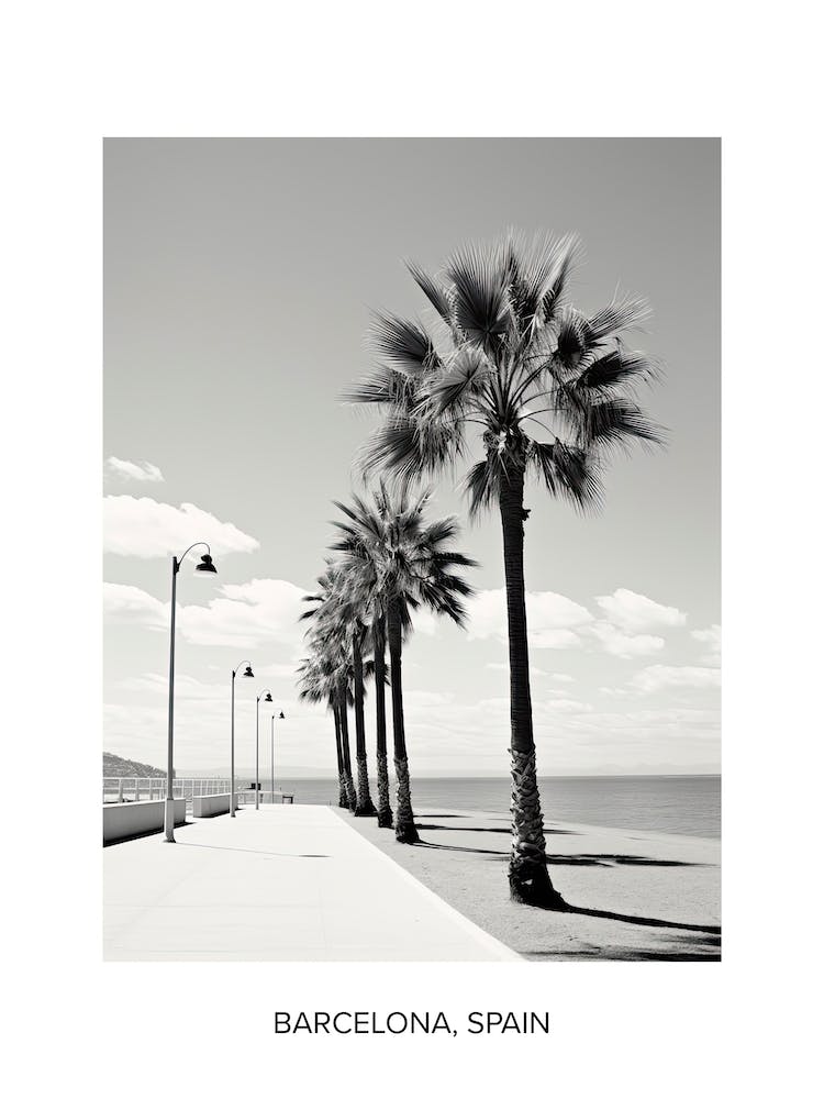 Poster Of Cannes, France, Photography In Black And White 3