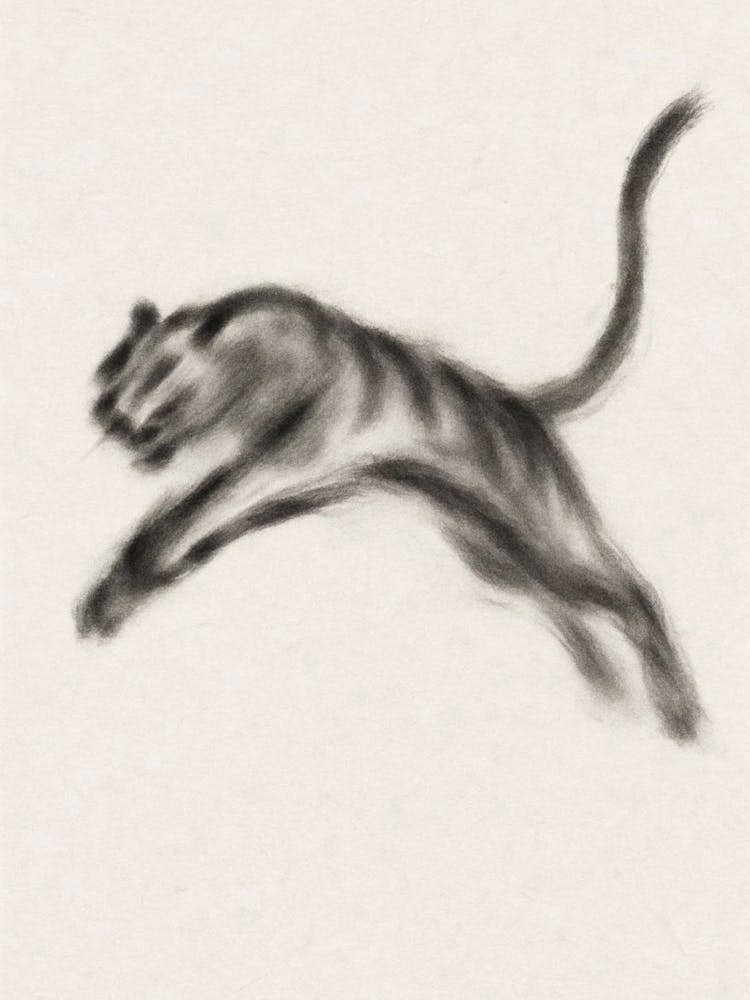 Tiger Leaping