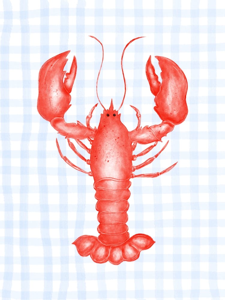 Lobster Gingham