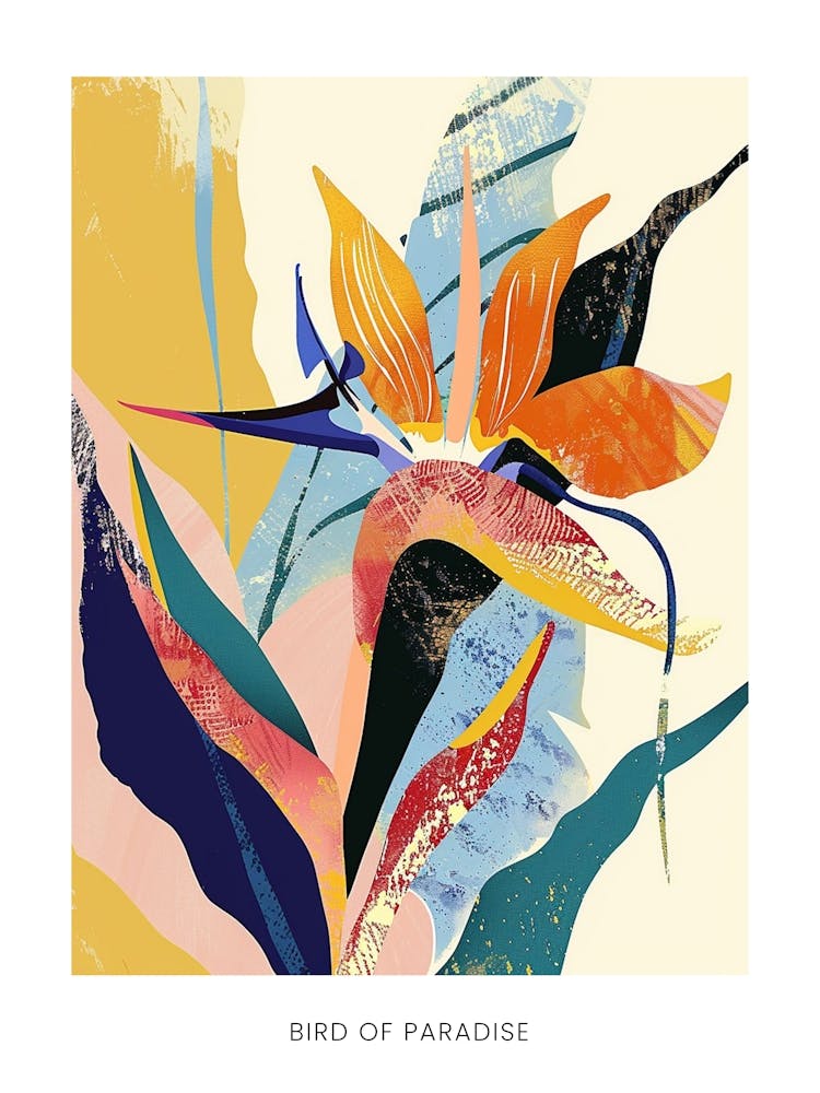 Colourful Flower Illustration Poster Bird Of Paradise 3