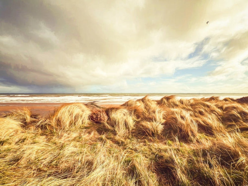 Northumberland Strandlandschaft