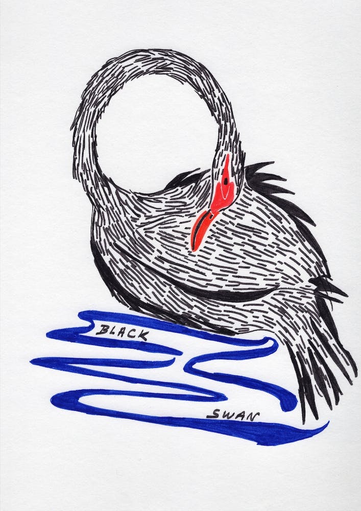 Black Swan