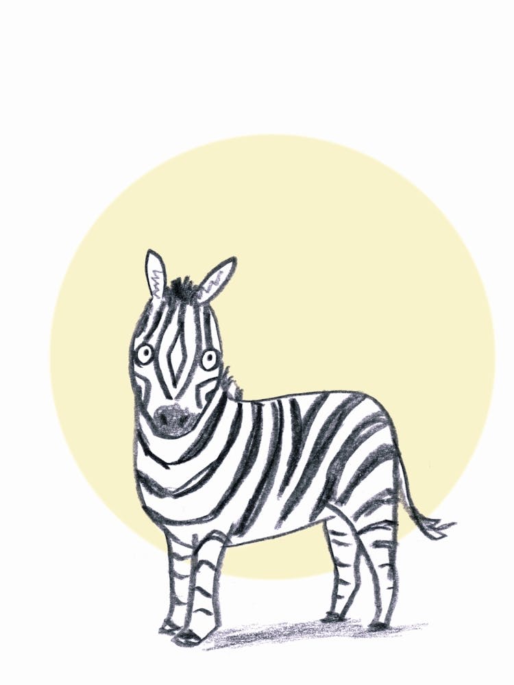 Zebra 1