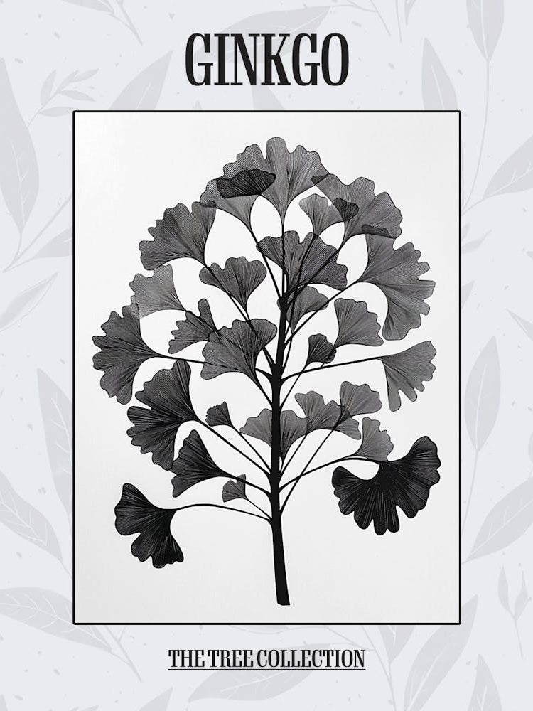 Ginkgo Tree Simple Geometric Nature Stencil 4 Poster