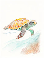 A Single Sea Turtle In Coral Reef, Sea Turtle Pencil Illustration 1