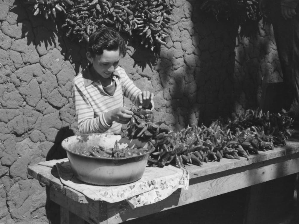 Untitled Photo, Possibly Related To Spanish Boy Stringing Chili Peppers For Drying, Concho, Arizona By Russell Lee