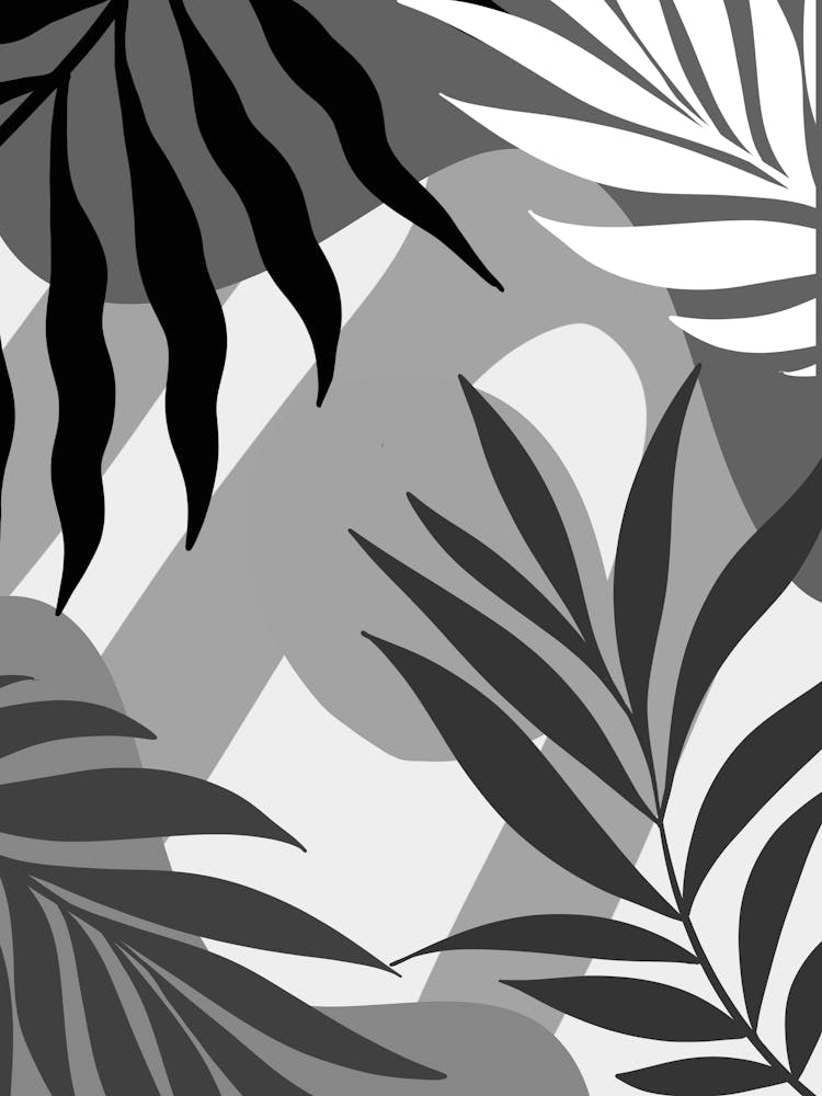 Black And White Palm Leaves 1