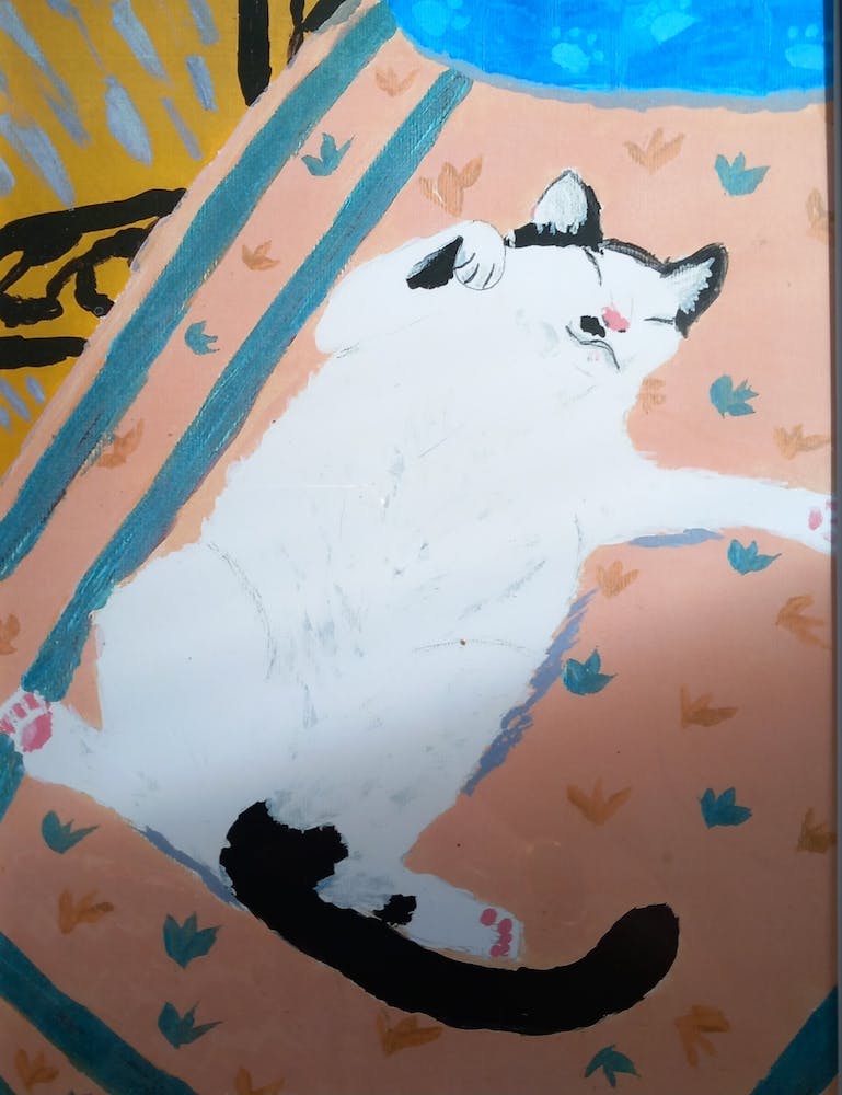 A Cat Snoozin'