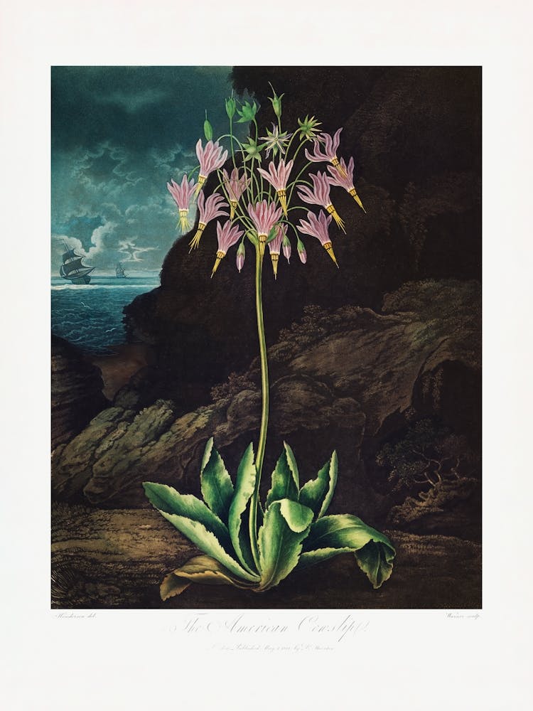 Vintage Botanical Temple Of Flora _2476829