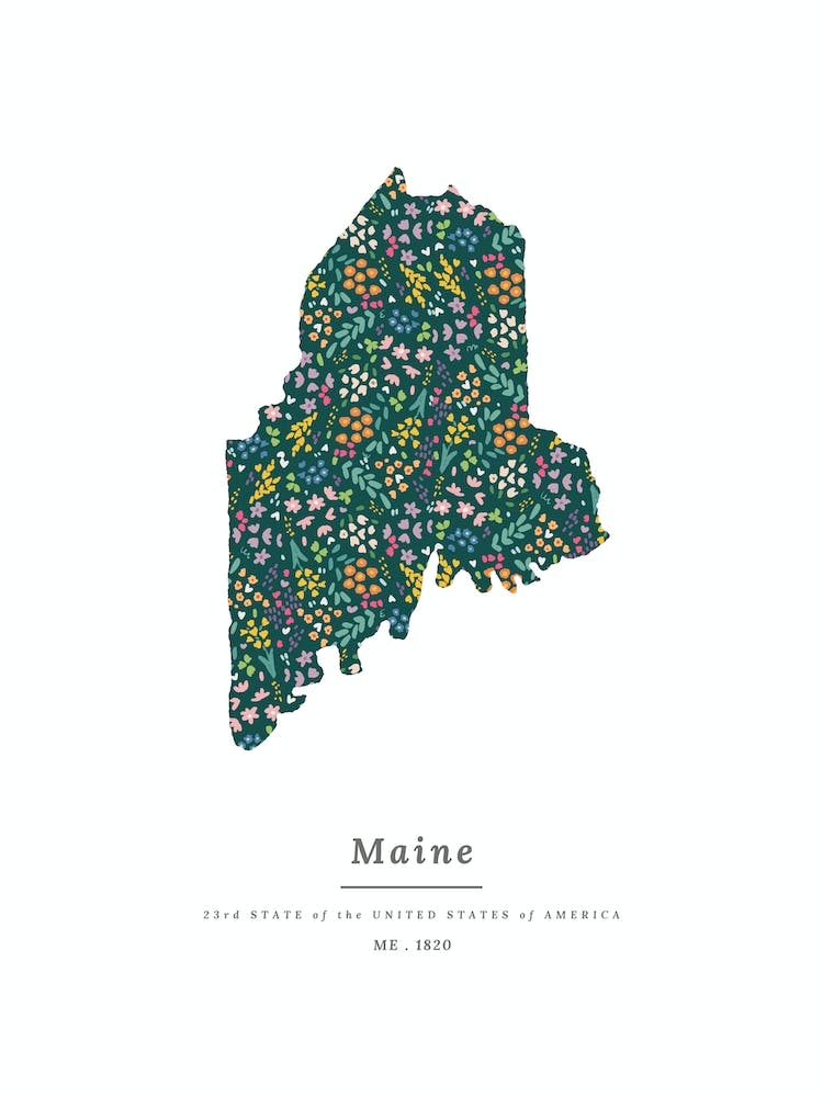 Maine State | Wildflowers on Juniper Green