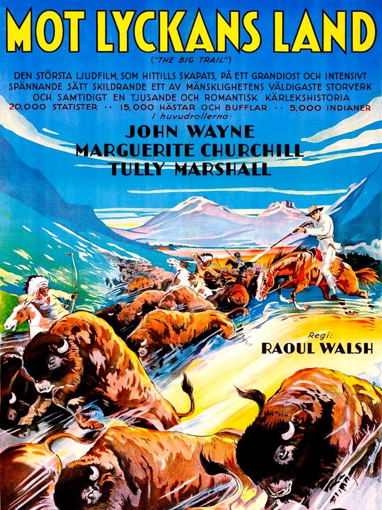 The Big Trail, John Wayne, American Western, 1930, Movie Poster From Sweden