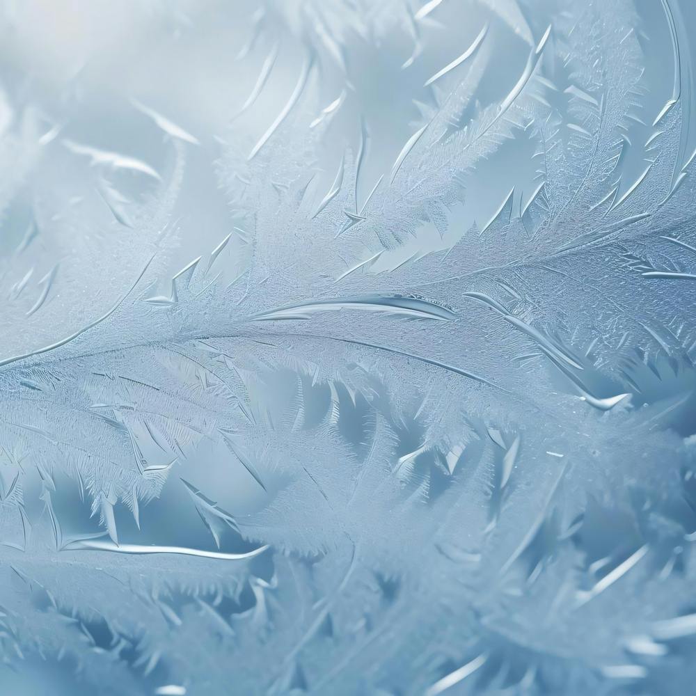 Frosty Window 1
