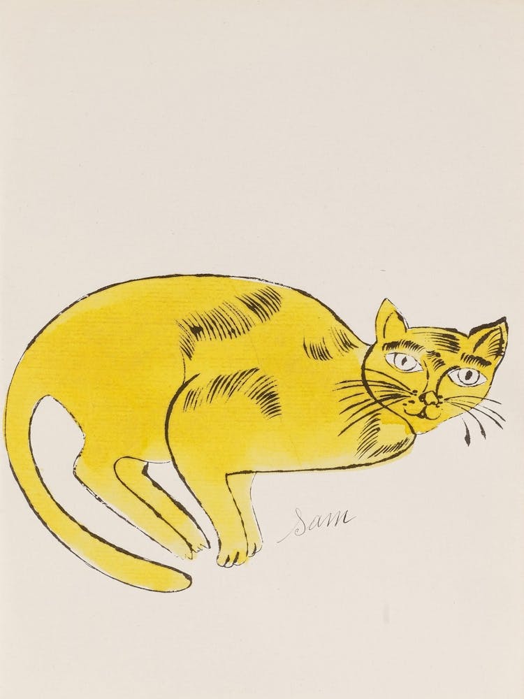Yellow Cat