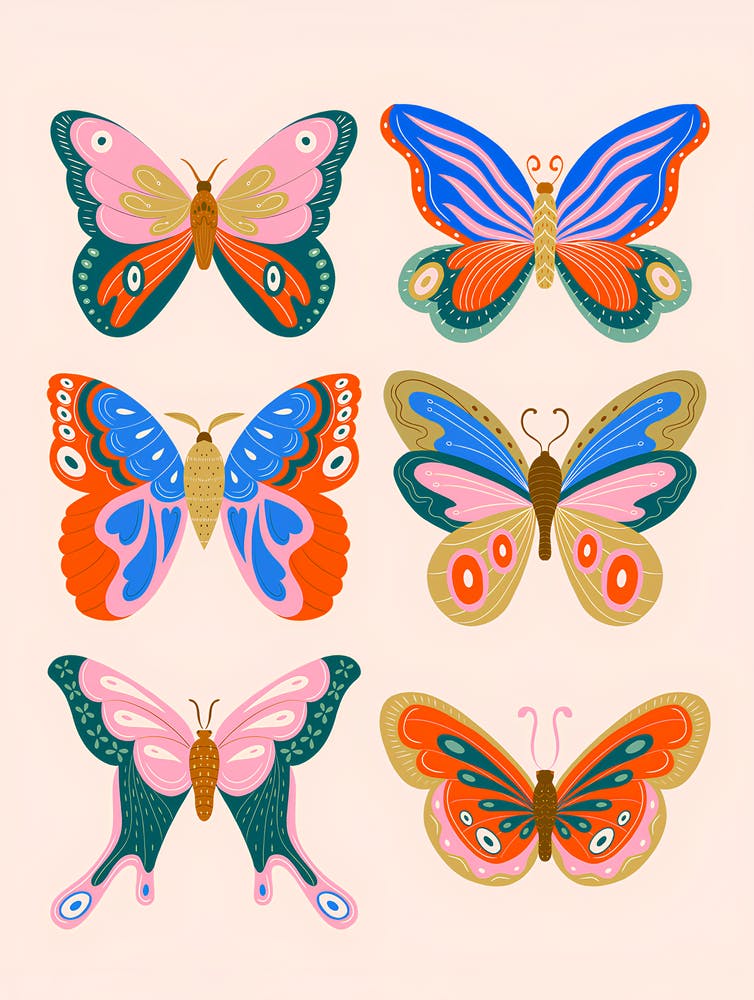 Colorful Butterfly Collection