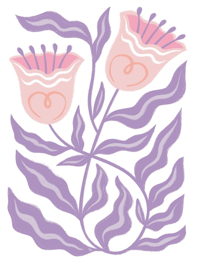 Purple Tulip Blooms