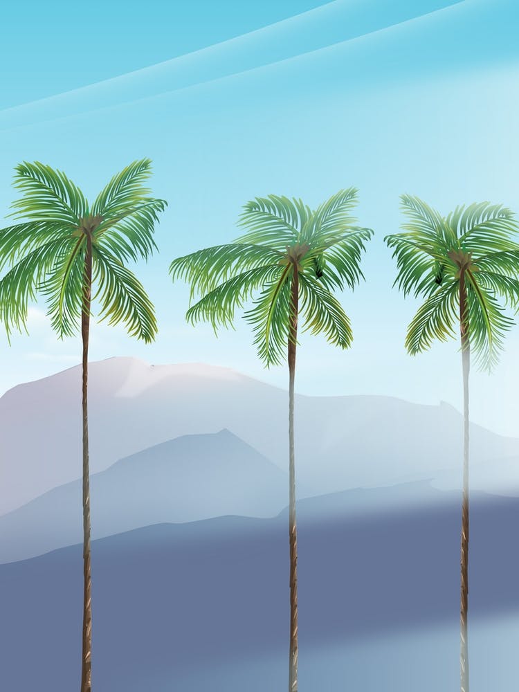 Palm Trees