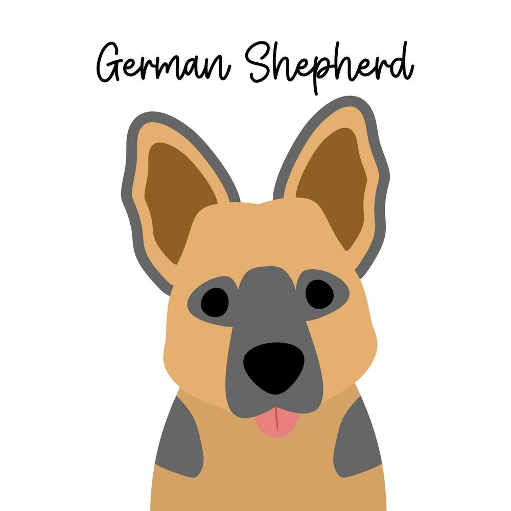 German Shepherd