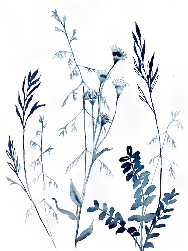 Meadow Study 1