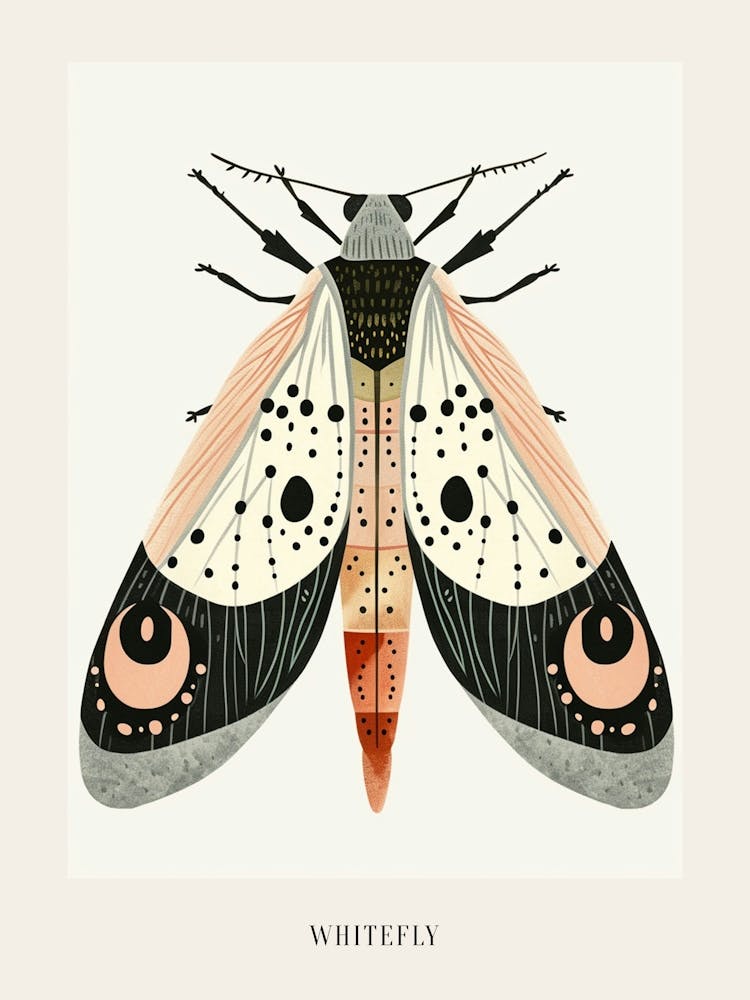 Colourful Insect Illustration Whitefly 16 Poster