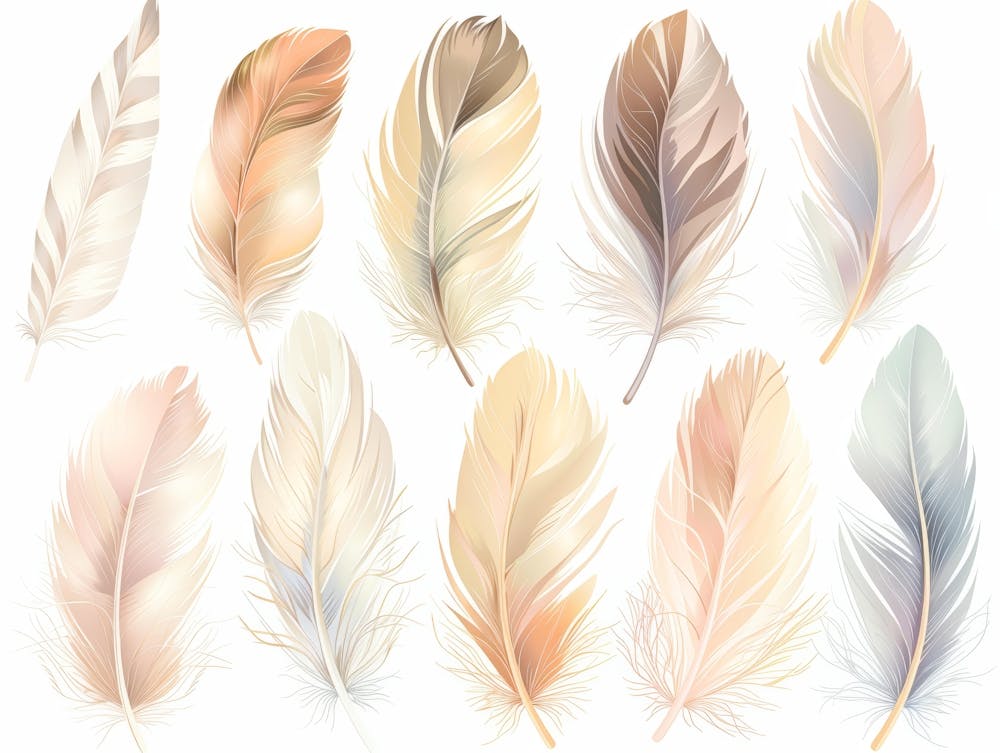 Set Of Feathers