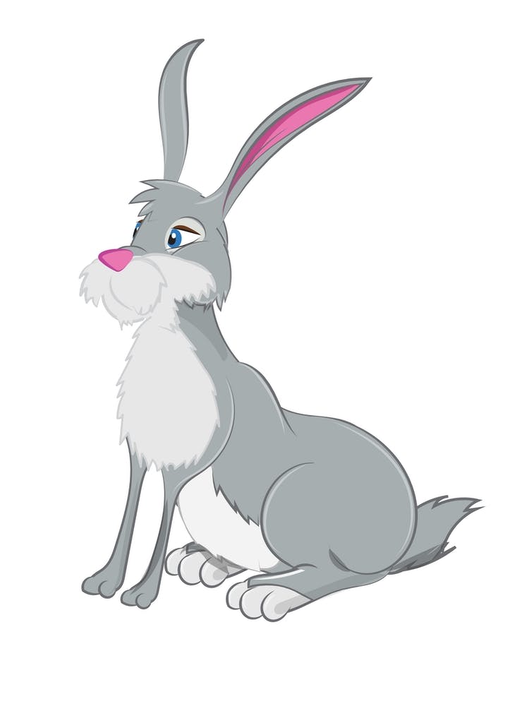 Cute Hare cartoon