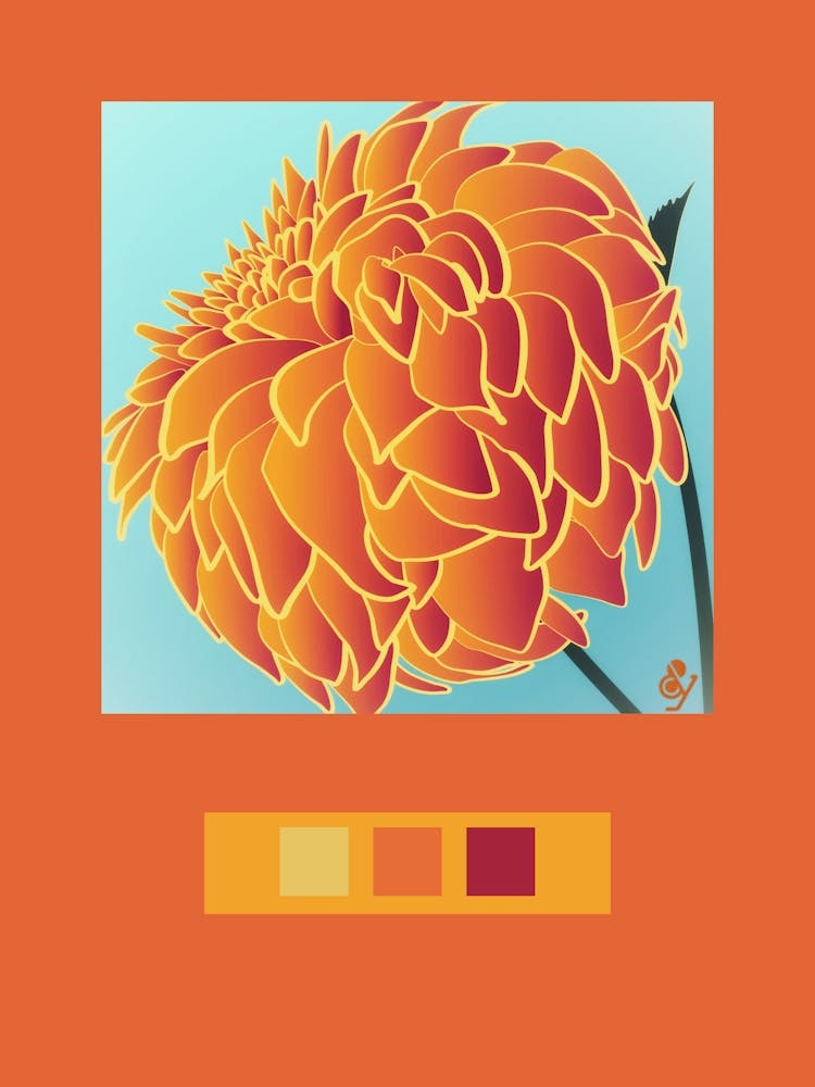 Orange Dahlia