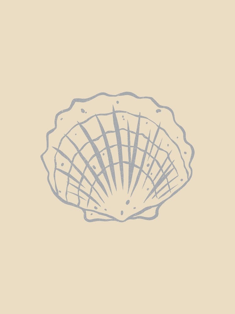 Seashell 03