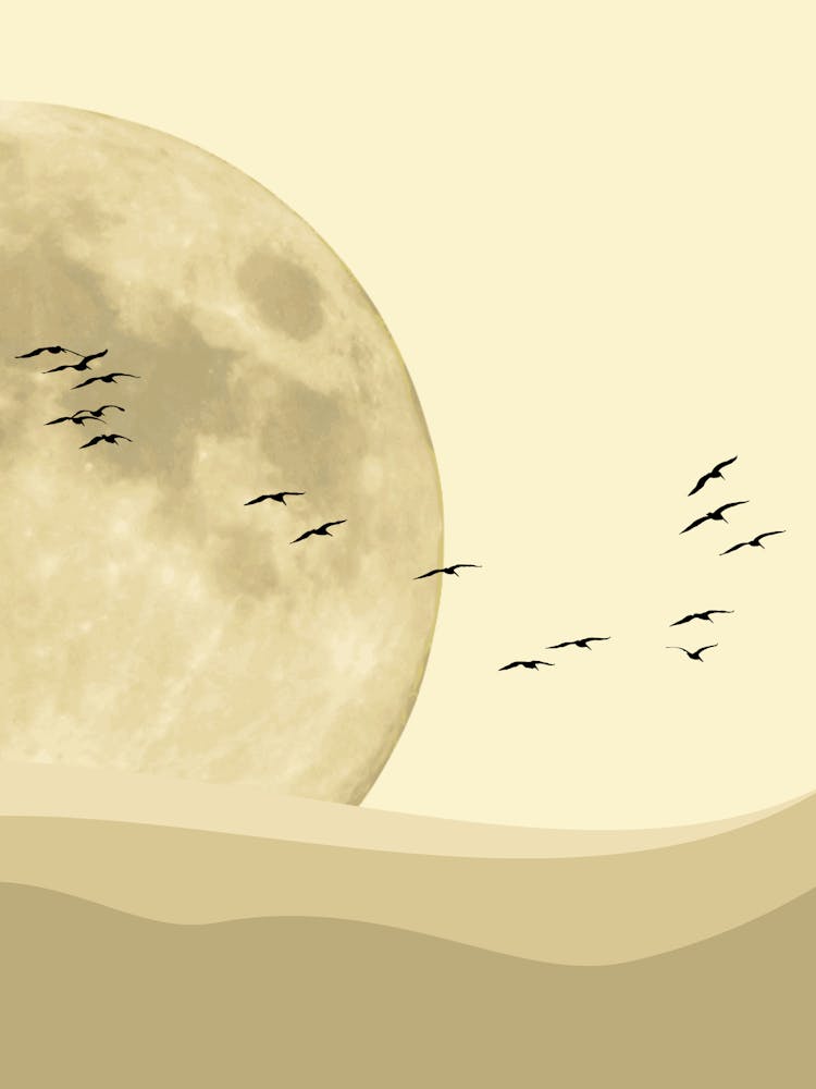 Flying Birds, Boho Sun