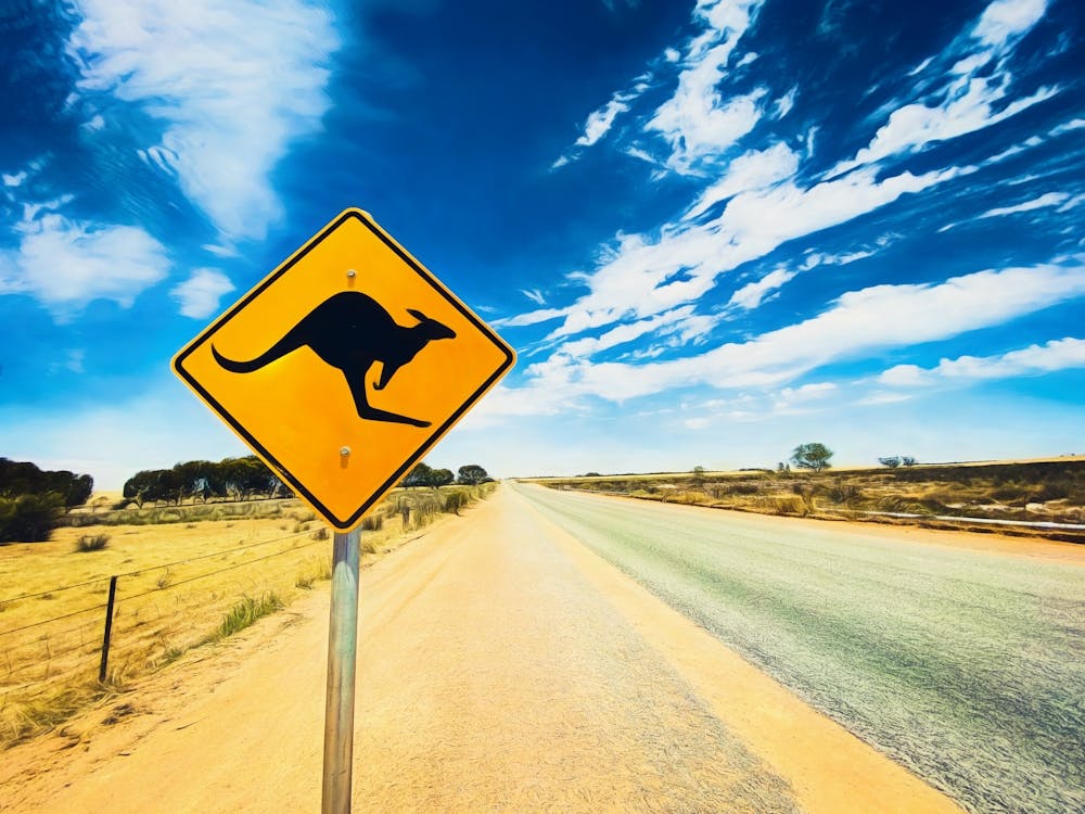 Kangaroo Warnschild Australia