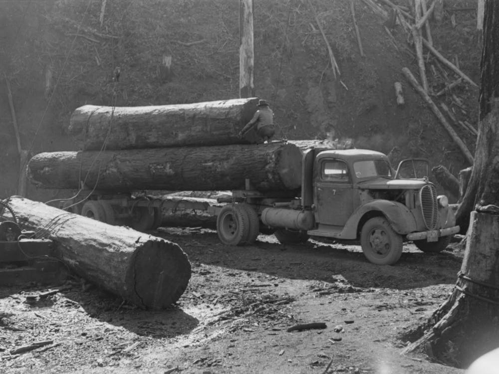 Loading Logs Onto Truck, Tillamook County, Oregon By Russell Lee