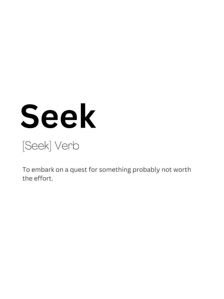 Seek Definition Meaning