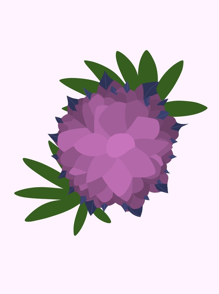 Purple Lupin