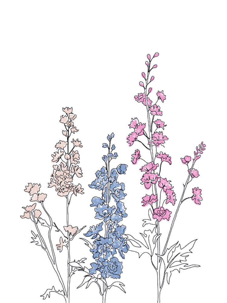 Wildflowers