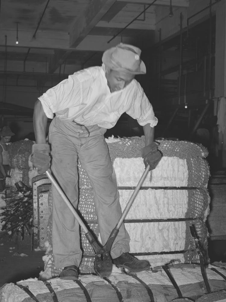 Snipping Metal Bands Off Bale Of Cotton Before Putting Into Compress, Houston, Texas By Russell Lee