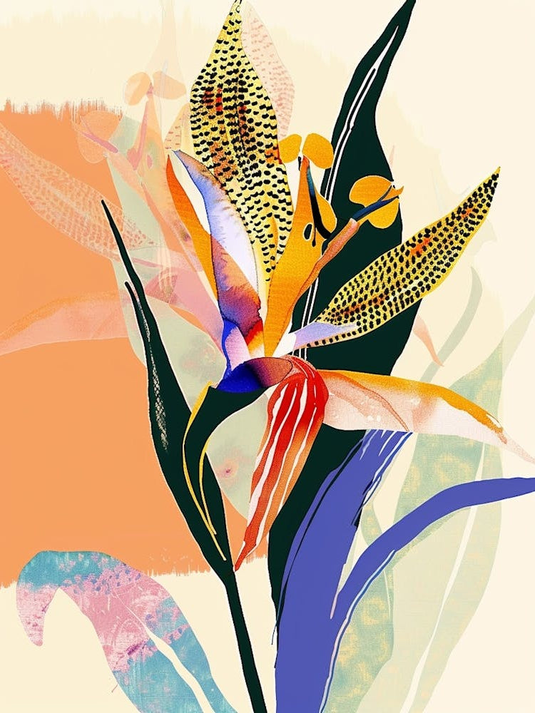 Colourful Flower Illustration Bird Of Paradise 2